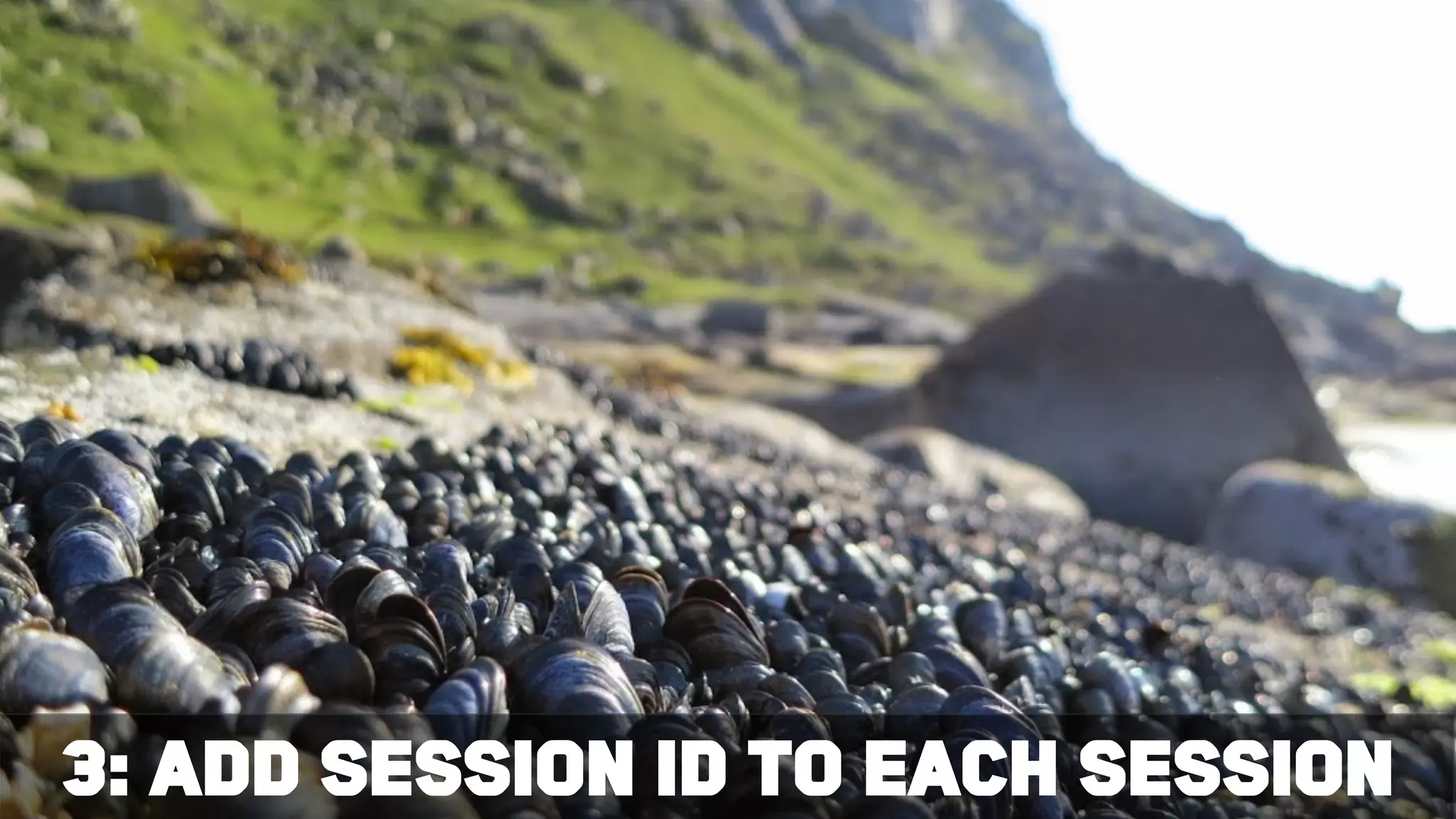 3: Add session ID to each session
 
