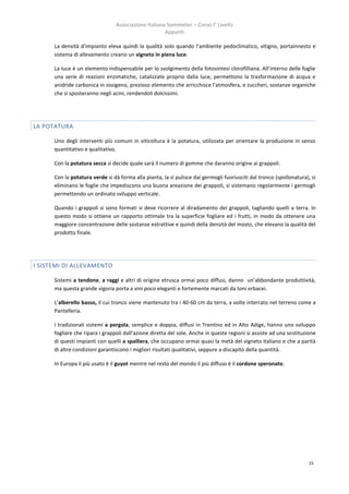 Associazione Italiana Sommelier – Corso I° Livello
                                                      Appunti

      La densità d’impianto eleva quindi la qualità solo quando l’ambiente pedoclimatico, vitigno, portainnesto e
      sistema di allevamento creano un vigneto in piena luce.

      La luce è un elemento indispensabile per lo svolgimento della fotosintesi clorofilliana. All’interno delle foglie
      una serie di reazioni enzimatiche, catalizzate proprio dalla luce, permettono la trasformazione di acqua e
      anidride carbonica in ossigeno, prezioso elemento che arricchisce l’atmosfera, e zuccheri, sostanze organiche
      che si sposteranno negli acini, rendendoli dolcissimi.




LA POTATURA

      Uno degli interventi più comuni in viticoltura è la potatura, utilizzata per orientare la produzione in senso
      quantitativo e qualitativo.

      Con la potatura secca si decide quale sarà il numero di gemme che daranno origine ai grappoli.

      Con la potatura verde si dà forma alla pianta, la si pulisce dai germogli fuoriusciti dal tronco (spollonatura), si
      eliminano le foglie che impediscono una buona areazione dei grappoli, si sistemano regolarmente i germogli
      permettendo un ordinato sviluppo verticale.

      Quando i grappoli si sono formati si deve ricorrere al diradamento dei grappoli, tagliando quelli a terra. In
      questo modo si ottiene un rapporto ottimale tra la superficie fogliare ed i frutti, in modo da ottenere una
      maggiore concentrazione delle sostanze estrattive e quindi della densità del mosto, che elevano la qualità del
      prodotto finale.




I SISTEMI DI ALLEVAMENTO

      Sistemi a tendone, a raggi e altri di origine etrusca ormai poco diffusi, danno un’abbondante produttività,
      ma questa grande vigoria porta a vini poco eleganti e fortemente marcati da toni erbacei.

      L’alberello basso, il cui tronco viene mantenuto tra i 40-60 cm da terra, a volte interrato nel terreno come a
      Pantelleria.

      I tradizionali sistemi a pergola, semplice e doppia, diffusi in Trentino ed in Alto Adige, hanno uno sviluppo
      fogliare che ripara i grappoli dall’azione diretta del sole. Anche in queste regioni si assiste ad una sostituzione
      di questi impianti con quelli a spalliera, che occupano ormai quasi la metà del vigneto italiano e che a parità
      di altre condizioni garantiscono i migliori risultati qualitativi, seppure a discapito della quantità.

      In Europa il più usato è il guyot mentre nel resto del mondo il più diffuso è il cordone speronato.




                                                                                                                      15
 