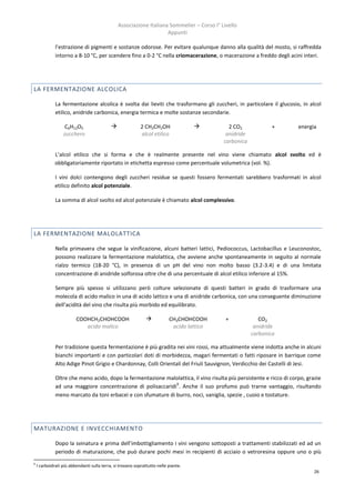 Associazione Italiana Sommelier – Corso I° Livello
                                                                     Appunti

              l’estrazione di pigmenti e sostanze odorose. Per evitare qualunque danno alla qualità del mosto, si raffredda
              intorno a 8-10 °C, per scendere fino a 0-2 °C nella criomacerazione, o macerazione a freddo degli acini interi.




LA FERMENTAZIONE ALCOLICA

              La fermentazione alcolica è svolta dai lieviti che trasformano gli zuccheri, in particolare il glucosio, in alcol
              etilico, anidride carbonica, energia termica e molte sostanze secondarie.

                   C6H12O5                                 2 CH3CH2OH                       2 CO2            +     energia
                  zucchero                                  alcol etilico                    anidride
                                                                                            carbonica

             L’alcol etilico che si forma e che è realmente presente nel vino viene chiamato alcol svolto ed è
             obbligatoriamente riportato in etichetta espresso come percentuale volumetrica (vol. %).

             I vini dolci contengono degli zuccheri residue se questi fossero fermentati sarebbero trasformati in alcol
             etilico definito alcol potenziale.

              La somma di alcol svolto ed alcol potenziale è chiamato alcol complessivo.




LA FERMENTAZIONE MALOLATTICA

              Nella primavera che segue la vinificazione, alcuni batteri lattici, Pediococcus, Lactobacillus e Leuconostoc,
              possono realizzare la fermentazione malolattica, che avviene anche spontaneamente in seguito al normale
              rialzo termico (18-20 °C), in presenza di un pH del vino non molto basso (3.2-3.4) e di una limitata
              concentrazione di anidride solforosa oltre che di una percentuale di alcol etilico inferiore al 15%.

              Sempre più spesso si utilizzano però colture selezionate di questi batteri in grado di trasformare una
              molecola di acido malico in una di acido lattico e una di anidride carbonica, con una conseguente diminuzione
              dell’acidità del vino che risulta più morbido ed equilibrato.

                         COOHCH2CHOHCOOH                                  CH3CHOHCOOH       +             CO2
                            acido malico                                    acido lattico                anidride
                                                                                                        carbonica

              Per tradizione questa fermentazione è più gradita nei vini rossi, ma attualmente viene indotta anche in alcuni
              bianchi importanti e con particolari doti di morbidezza, magari fermentati o fatti riposare in barrique come
              Alto Adige Pinot Grigio e Chardonnay, Colli Orientali del Friuli Sauvignon, Verdicchio dei Castelli di Jesi.

              Oltre che meno acido, dopo la fermentazione malolattica, il vino risulta più persistente e ricco di corpo, grazie
                                                              6
              ad una maggiore concentrazione di polisaccaridi . Anche il suo profumo può trarne vantaggio, risultando
              meno marcato da toni erbacei e con sfumature di burro, noci, vaniglia, spezie , cuoio e tostature.




MATURAZIONE E INVECCHIAMENTO

              Dopo la svinatura e prima dell’imbottigliamento i vini vengono sottoposti a trattamenti stabilizzati ed ad un
              periodo di maturazione, che può durare pochi mesi in recipienti di acciaio o vetroresina oppure uno o più
6
    I carboidrati più abbondanti sulla terra, si trovano soprattutto nelle piante.
                                                                                                                            26
 