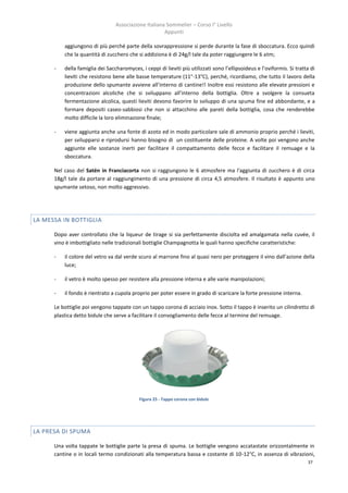 Associazione Italiana Sommelier – Corso I° Livello
                                                      Appunti

          aggiungono di più perché parte della sovrappressione si perde durante la fase di sboccatura. Ecco quindi
          che la quantità di zucchero che si addiziona è di 24g/l tale da poter raggiungere le 6 atm;

      -   della famiglia dei Saccharomyces, i ceppi di lieviti più utilizzati sono l’ellipsoideus e l’oviformis. Si tratta di
          lieviti che resistono bene alle basse temperature (11°-13°C), perché, ricordiamo, che tutto il lavoro della
          produzione dello spumante avviene all’interno di cantine!! Inoltre essi resistono alle elevate pressioni e
          concentrazioni alcoliche che si sviluppano all’interno della bottiglia. Oltre a svolgere la consueta
          fermentazione alcolica, questi lieviti devono favorire lo sviluppo di una spuma fine ed abbondante, e a
          formare depositi caseo-sabbiosi che non si attacchino alle pareti della bottiglia, cosa che renderebbe
          molto difficile la loro eliminazione finale;

      -   viene aggiunta anche una fonte di azoto ed in modo particolare sale di ammonio proprio perché i lieviti,
          per svilupparsi e riprodursi hanno bisogno di un costituente delle proteine. A volte poi vengono anche
          aggiunte elle sostanze inerti per facilitare il compattamento delle fecce e facilitare il remuage e la
          sboccatura.

      Nel caso del Satén in Franciacorta non si raggiungono le 6 atmosfere ma l'aggiunta di zucchero è di circa
      18g/l tale da portare al raggiungimento di una pressione di circa 4,5 atmosfere. Il risultato è appunto uno
      spumante setoso, non molto aggressivo.




LA MESSA IN BOTTIGLIA

      Dopo aver controllato che la liqueur de tirage si sia perfettamente disciolta ed amalgamata nella cuvée, il
      vino è imbottigliato nelle tradizionali bottiglie Champagnotta le quali hanno specifiche caratteristiche:

      -   il colore del vetro va dal verde scuro al marrone fino al quasi nero per proteggere il vino dall’azione della
          luce;

      -   il vetro è molto spesso per resistere alla pressione interna e alle varie manipolazioni;

      -   il fondo è rientrato a cupola proprio per poter essere in grado di scaricare la forte pressione interna.

      Le bottiglie poi vengono tappate con un tappo corona di acciaio inox. Sotto il tappo è inserito un cilindretto di
      plastica detto bidule che serve a facilitare il convogliamento delle fecce al termine del remuage.




                                            Figura 25 - Tappo corona con bidule




LA PRESA DI SPUMA

      Una volta tappate le bottiglie parte la presa di spuma. Le bottiglie vengono accatastate orizzontalmente in
      cantine o in locali termo condizionati alla temperatura bassa e costante di 10-12°C, in assenza di vibrazioni,
                                                                                                                         37
 