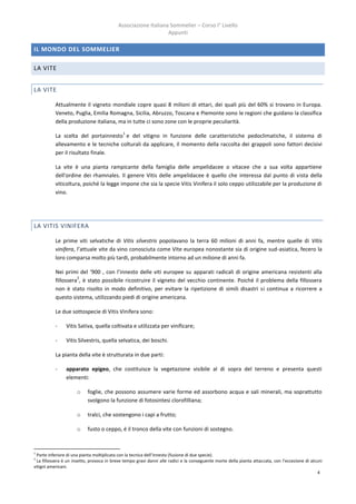 Associazione Italiana Sommelier – Corso I° Livello
                                                                Appunti

IL MONDO DEL SOMMELIER

LA VITE


LA VITE

           Attualmente il vigneto mondiale copre quasi 8 milioni di ettari, dei quali più del 60% si trovano in Europa.
           Veneto, Puglia, Emilia Romagna, Sicilia, Abruzzo, Toscana e Piemonte sono le regioni che guidano la classifica
           della produzione italiana, ma in tutte ci sono zone con le proprie peculiarità.
                                             1
           La scelta del portainnesto e del vitigno in funzione delle caratteristiche pedoclimatiche, il sistema di
           allevamento e le tecniche colturali da applicare, il momento della raccolta dei grappoli sono fattori decisivi
           per il risultato finale.

           La vite è una pianta rampicante della famiglia delle ampelidacee o vitacee che a sua volta appartiene
           dell'ordine dei rhamnales. Il genere Vitis delle ampelidacee è quello che interessa dal punto di vista della
           viticoltura, poiché la legge impone che sia la specie Vitis Vinifera il solo ceppo utilizzabile per la produzione di
           vino.




LA VITIS VINIFERA

           Le prime viti selvatiche di Vitis silvestris popolavano la terra 60 milioni di anni fa, mentre quelle di Vitis
           vinifera, l’attuale vite da vino conosciuta come Vite europea nonostante sia di origine sud-asiatica, fecero la
           loro comparsa molto più tardi, probabilmente intorno ad un milione di anni fa.

           Nei primi del ‘900 , con l’innesto delle viti europee su apparati radicali di origine americana resistenti alla
                     2
           fillossera , è stato possibile ricostruire il vigneto del vecchio continente. Poiché il problema della fillossera
           non è stato risolto in modo definitivo, per evitare la ripetizione di simili disastri si continua a ricorrere a
           questo sistema, utilizzando piedi di origine americana.

           Le due sottospecie di Vitis Vinifera sono:

           -    Vitis Sativa, quella coltivata e utilizzata per vinificare;

           -    Vitis Silvestris, quella selvatica, dei boschi.

           La pianta della vite è strutturata in due parti:

           -    apparato epigeo, che costituisce la vegetazione visibile al di sopra del terreno e presenta questi
                elementi:

                      o    foglie, che possono assumere varie forme ed assorbono acqua e sali minerali, ma soprattutto
                           svolgono la funzione di fotosintesi clorofilliana;

                      o    tralci, che sostengono i capi a frutto;

                      o    fusto o ceppo, è il tronco della vite con funzioni di sostegno.


1
 Parte inferiore di una pianta moltiplicata con la tecnica dell’innesto (fusione di due specie).
2
 La fillossera è un insetto, provoca in breve tempo gravi danni alle radici e la conseguente morte della pianta attaccata, con l’eccezione di alcuni
vitigni americani.
                                                                                                                                                  4
 