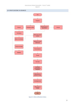 Associazione Italiana Sommelier – Corso I° Livello
                                                      Appunti

LA VINIFICAZIONE IN BIANCO

                                                               Uva




                                                            Trasporto




                                                                           Pigiadiraspatura +
               Vinacce              Pressatura soffice                                          Vinacce
                                                                              sgrondatura




              Torchiatura
                                                     Mosto fiore senza
                                                         vinacce


          Mosto di torchiatura

                                                     Addizione di lieviti
                                                        selezionati



           Vinacce torchiate

                                                         Fermentazione


               Distilleria

                                                             Travasi




                                                            Vino fiore




                                                            Eventuale
                                                          fermentazione
                                                            malolattica




                                                          Maturazione in
                                                         acciaio e/o botte




                                                         Imbottigliamento




                                                          Affinamento in
                                                              bottiglia




                                                               Vino


                                         Figura 31 - Schema vinificazione in bianco


                                                                                                          52
 
