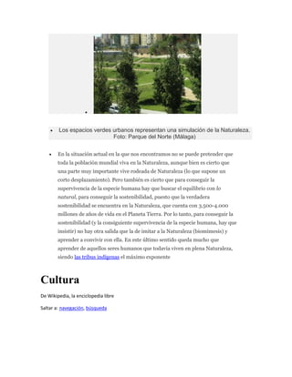 Los espacios verdes urbanos representan una simulación de la Naturaleza.
                            Foto: Parque del Norte (Málaga)


        En la situación actual en la que nos encontramos no se puede pretender que
        toda la población mundial viva en la Naturaleza, aunque bien es cierto que
        una parte muy importante vive rodeada de Naturaleza (lo que supone un
        corto desplazamiento). Pero también es cierto que para conseguir la
        supervivencia de la especie humana hay que buscar el equilibrio con lo
        natural, para conseguir la sostenibilidad, puesto que la verdadera
        sostenibilidad se encuentra en la Naturaleza, que cuenta con 3.500-4.000
        millones de años de vida en el Planeta Tierra. Por lo tanto, para conseguir la
        sostenibilidad (y la consiguiente supervivencia de la especie humana, hay que
        insistir) no hay otra salida que la de imitar a la Naturaleza (biomímesis) y
        aprender a convivir con ella. En este último sentido queda mucho que
        aprender de aquellos seres humanos que todavía viven en plena Naturaleza,
        siendo las tribus indígenas el máximo exponente



Cultura
De Wikipedia, la enciclopedia libre

Saltar a: navegación, búsqueda
 