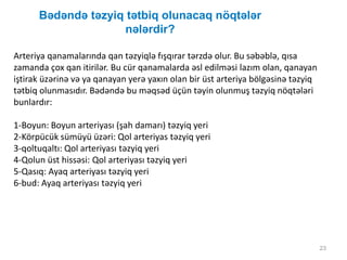 Bədəndə təzyiq tətbiq olunacaq nöqtələr
nələrdir?
23
Arteriya qanamalarında qan təzyiqlə fışqırar tərzdə olur. Bu səbəblə, qısa
zamanda çox qan itirilər. Bu cür qanamalarda əsl edilməsi lazım olan, qanayan
iştirak üzərinə və ya qanayan yerə yaxın olan bir üst arteriya bölgəsinə təzyiq
tətbiq olunmasıdır. Bədəndə bu məqsəd üçün təyin olunmuş təzyiq nöqtələri
bunlardır:
1-Boyun: Boyun arteriyası (şah damarı) təzyiq yeri
2-Körpücük sümüyü üzəri: Qol arteriyas təzyiq yeri
3-qoltuqaltı: Qol arteriyası təzyiq yeri
4-Qolun üst hissəsi: Qol arteriyası təzyiq yeri
5-Qasıq: Ayaq arteriyası təzyiq yeri
6-bud: Ayaq arteriyası təzyiq yeri
 