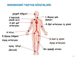 BƏDƏNDƏKİ TƏZYIQI NÖQTƏLƏRİ.
24
1.Boyun şah
damarı
3.üst qol
arteryası
ayaq biləyi
(dirsək)
Əl biləyi
2.köprücük
sümük üzəri
diz qapağı arxası
4.Qol arteryası iç qismi
gicgah bölgəsi
5.Qasıq bölgesi
Ayaq arteryası
6.bud iç qismi
Ayaq arteryası
 