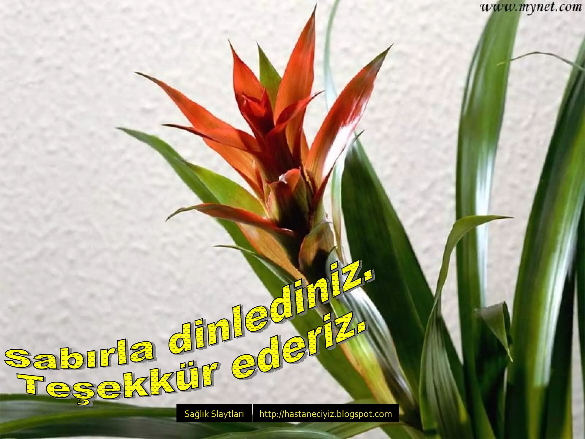 Sabırla dinlediniz.  Teşekkür ederiz. Sağlık   Slaytları http://hastaneciyiz.blogspot.com   