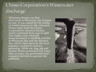 Minamata disease was first discovered in Minamata city in Japan in 1956. It was caused by the release of methyl mercury in the industrial Waste water from the Chisso Corporation's chemical factory, which continued from 1932 to 1968. This highly toxic chemical bioaccumulated in shellfish and fish in Minamata Bay and the Shiranui Sea, which when eaten by the local populace resulted in mercury poisoning. While cat, dog, pig and human deaths continued over more than 30 years, the government and company did little to prevent the pollution.  
