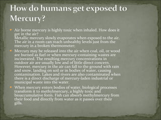 Air borne mercury is highly toxic when inhaled. How does it get in the air? Metallic mercury slowly evaporates when exposed to the air. The air in a room can reach unhealthy levels just from the mercury in a broken thermometer;  Mercury may be released into the air when coal, oil, or wood are burned as fuel or when mercury-containing wastes are incinerated. The resulting mercury concentrations in outdoor air are usually low and of little direct concern. However, mercury in the air can fall to the ground with rain and snow, landing on soil or in bodies of water, causing contamination. Lakes and rivers are also contaminated when there is a direct discharge of mercury-laden industrial or municipal waste into the water.  When mercury enters bodies of water, biological processes transform it to methylmercury, a highly toxic and bioaccumulative form. Fish can absorb methylmercury from their food and directly from water as it passes over their gills.  