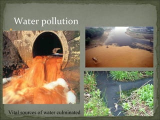 Water pollution Vital sources of water culminated  
