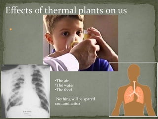 Effects of thermal plants on us The air The water The food Nothing will be spared contamination 