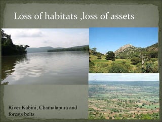Loss of habitats ,loss of assets River Kabini, Chamalapura and forests belts  