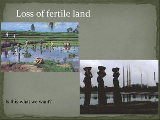Loss of fertile land Is this what we want? 