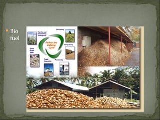 Bio fuel 