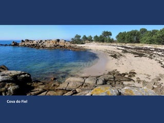 Cova do Fiel
 