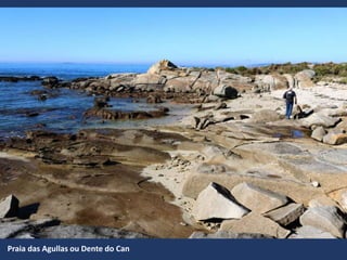 Praia das Agullas ou Dente do Can
 