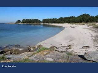 Praia Lameira
 
