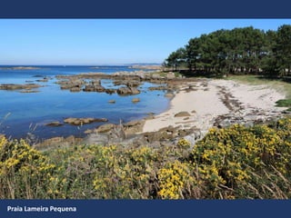 Praia Lameira Pequena
 
