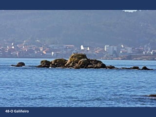 48-O Galiñeiro
 