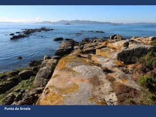 Punta da Arnela
 
