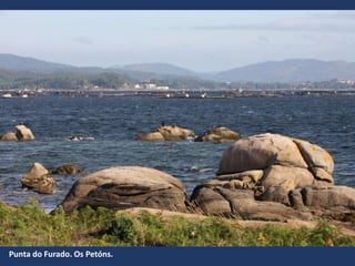 Punta do Furado. Os Petóns.
 