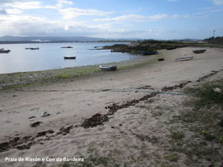Praia de Riasón e Con da Bandeira
 