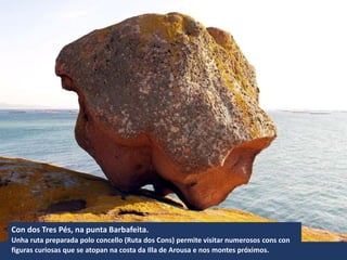Con dos Tres Pés, na punta Barbafeita.
Unha ruta preparada polo concello (Ruta dos Cons) permite visitar numerosos cons con
figuras curiosas que se atopan na costa da Illa de Arousa e nos montes próximos.
 