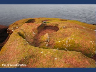 Pías na punta Barbafeita
 