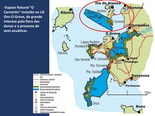 -Espazo Natural “O
Carreirón” incluído no LIC
Ons-O Grove, de grande
interese pola flora das
dunas e a presenza de
aves acuáticas.
 