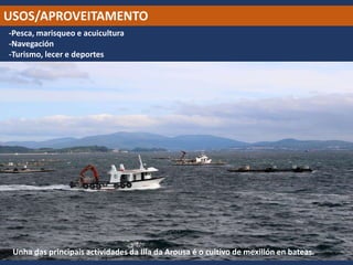 USOS/APROVEITAMENTO
-Pesca, marisqueo e acuicultura
-Navegación
-Turismo, lecer e deportes
Unha das principais actividades da Illa da Arousa é o cultivo de mexillón en bateas.
 