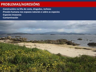 PROBLEMAS/AGRESIÓNS
-Construcións na liña de costa, dragados, recheos
-Presión humana nos espazos naturais e sobre as especies
-Especies invasoras
-Contaminación
 