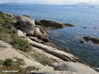 Punta do Naval
 