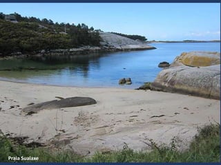 Praia Sualaxe
 