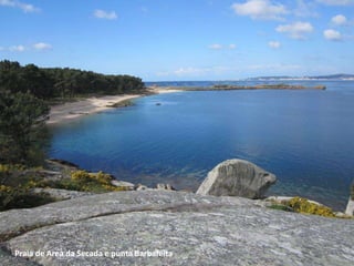 Praia de Area da Secada e punta Barbafeita
 