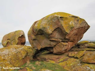 Punta Barbafeita
 