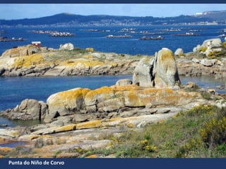 Punta do Niño de Corvo
 