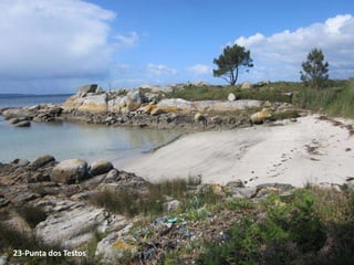 23-Punta dos Testos
 