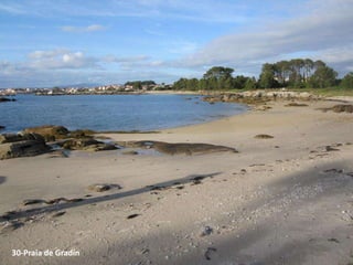 30-Praia de Gradín
 