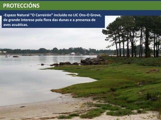 PROTECCIÓNS
-Espazo Natural “O Carreirón” incluído no LIC Ons-O Grove,
de grande interese pola flora das dunas e a presenza de
aves acuáticas.
 