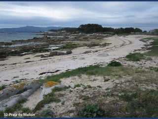 32-Praia do Mallón
 