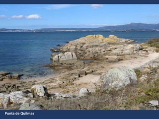 Punta de Quilmas
 