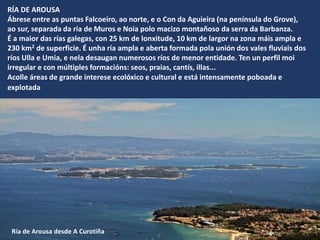RÍA DE AROUSA
Ábrese entre as puntas Falcoeiro, ao norte, e o Con da Aguieira (na península do Grove),
ao sur, separada da ría de Muros e Noia polo macizo montañoso da serra da Barbanza.
É a maior das rías galegas, con 25 km de lonxitude, 10 km de largor na zona máis ampla e
230 km2 de superficie. É unha ría ampla e aberta formada pola unión dos vales fluviais dos
ríos Ulla e Umia, e nela desaugan numerosos ríos de menor entidade. Ten un perfil moi
irregular e con múltiples formacións: seos, praias, cantís, illas...
Acolle áreas de grande interese ecolóxico e cultural e está intensamente poboada e
explotada
Ría de Arousa desde A Curotiña
 