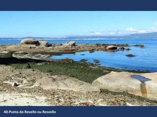40-Punta do Revello ou Resvello
 
