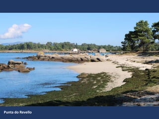 Punta do Revello
 