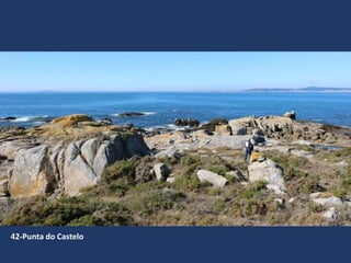42-Punta do Castelo
 