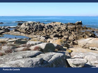 Punta do Castelo
 