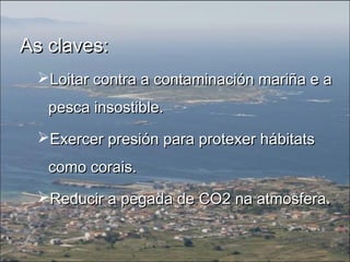 As claves:As claves:
Loitar contra a contaminación mariña e aLoitar contra a contaminación mariña e a
pesca insostible.pesca insostible.
Exercer presión para protexer hábitatsExercer presión para protexer hábitats
como corais.como corais.
Reducir a pegada de CO2 na atmosfera.Reducir a pegada de CO2 na atmosfera.
 