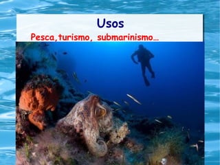 Usos
Pesca,turismo, submarinismo…
 