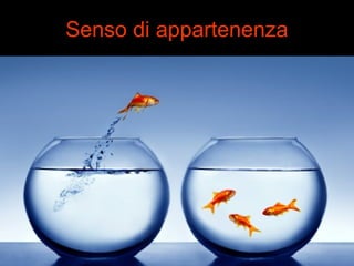 Senso di appartenenza 
 