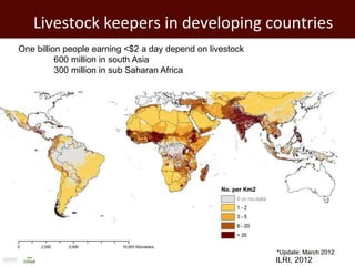 Feeding the world: Smallholders and livestock