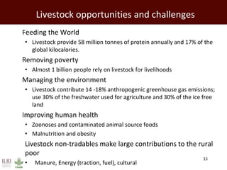 Feeding the world: Smallholders and livestock